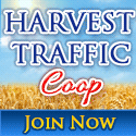 affiliate income marketing tool-Co-ops traffic